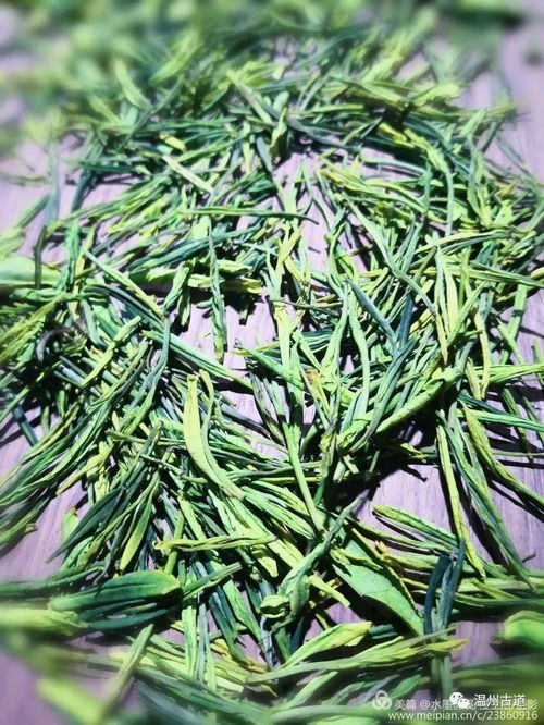 安吉茶鄉(xiāng)行 走進(jìn)一片綠葉的千年絮語